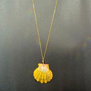 30” Gold Filled Sunrise Shell Necklace